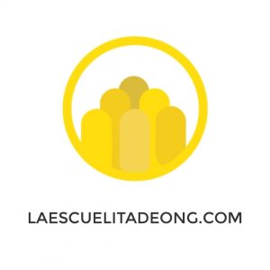 la escuelita de las ong